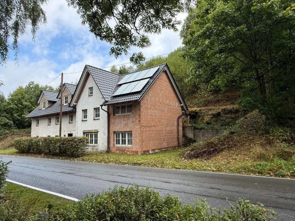 Vrijstaand dubbelwoonhuis in het Sauerland (Duitsland), 4 of meer slaapkamers, Dorp, Tuin, Sauerland