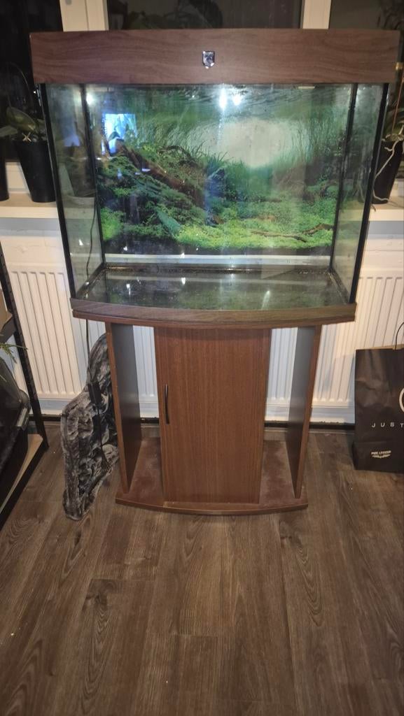 Aquarium panorama, Dieren en Toebehoren, Vissen | Aquaria en Toebehoren, Gebruikt, Leeg aquarium, Ophalen