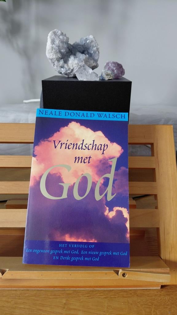 Vriendschap met God - Neale Donald Walsch, Gelezen, Achtergrond en Informatie, Ophalen of Verzenden, Spiritualiteit algemeen