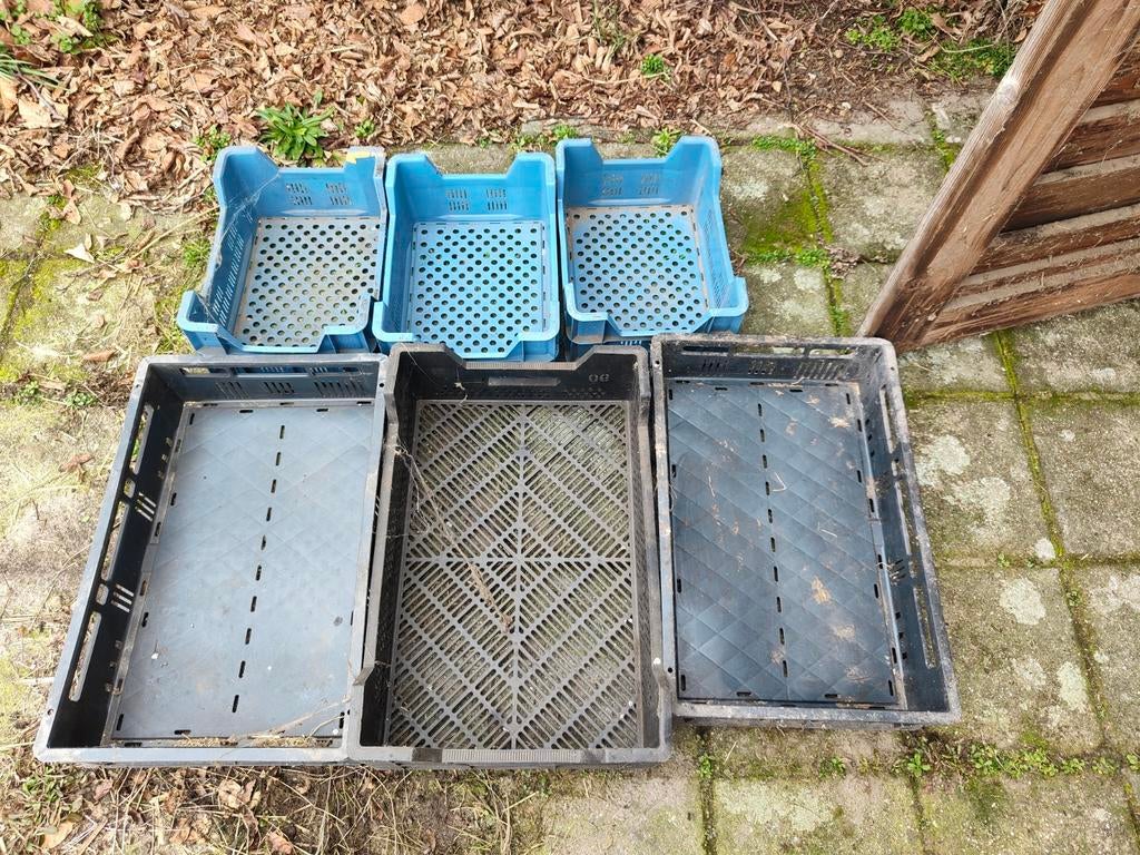 Groente en fruit kratten, Ophalen, 40 tot 60 cm, 50 tot 75 cm, Minder dan 35 cm