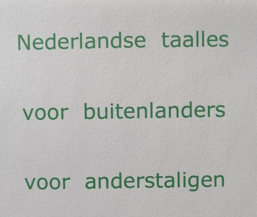 Nederlandse  taalles, Privéles, Bijles