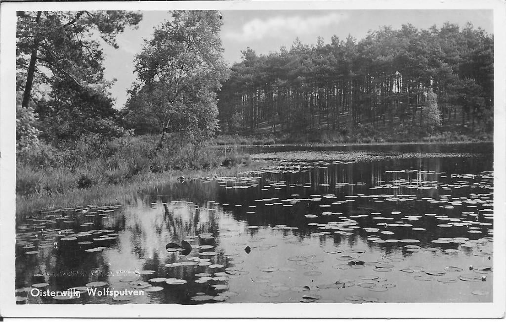 Oisterwijk Wolfsputven., Ophalen of Verzenden, 1940 tot 1960, Gelopen, Noord-Brabant