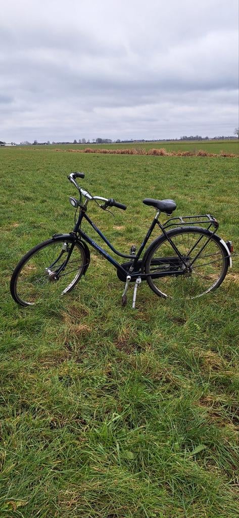 Gazelle primera, Ophalen of Verzenden, Gebruikt, Gazelle