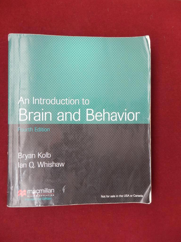 An Introduction to Brain and Behavior/Kolb&Whishaw, Boeken, Kolb&Whishaw, Ophalen of Verzenden, Beta, WO