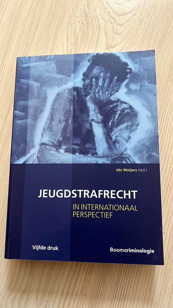 Jeugdstrafrecht in internationaal perspectief, Boeken, Verzenden, Zo goed als nieuw