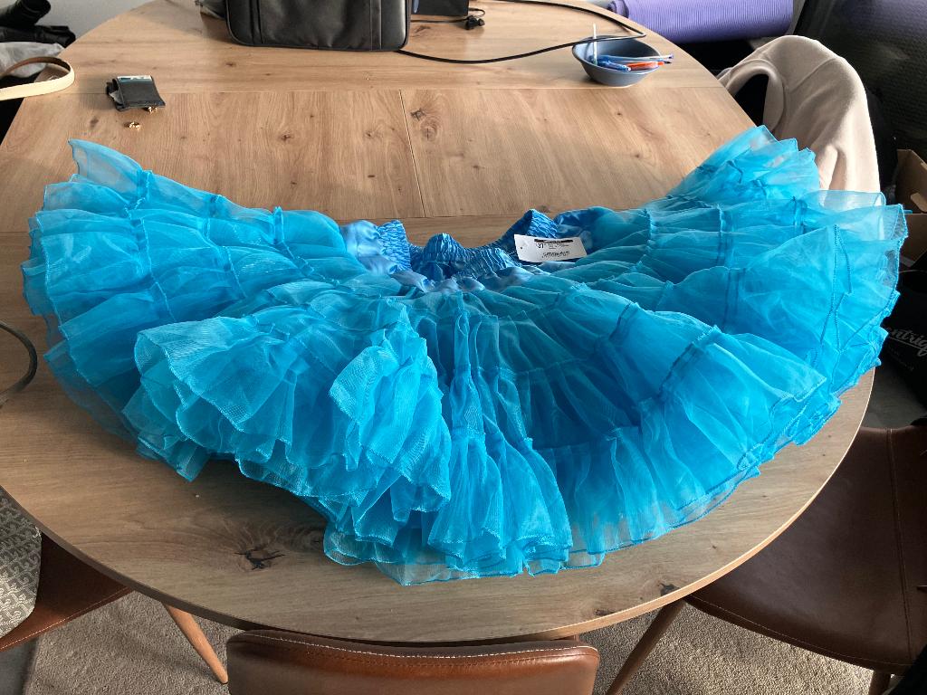 Petticoat NIEUW!, Ophalen of Verzenden, Nieuw, 170 of groter, Jongen of Meisje