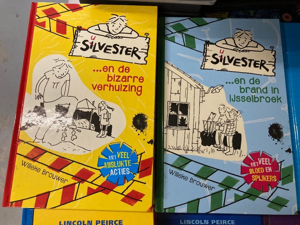 Silvester Flip Fiasco Dagboek van een muts Niek de Groot ea, Ophalen of Verzenden, Zo goed als nieuw, Fictie algemeen