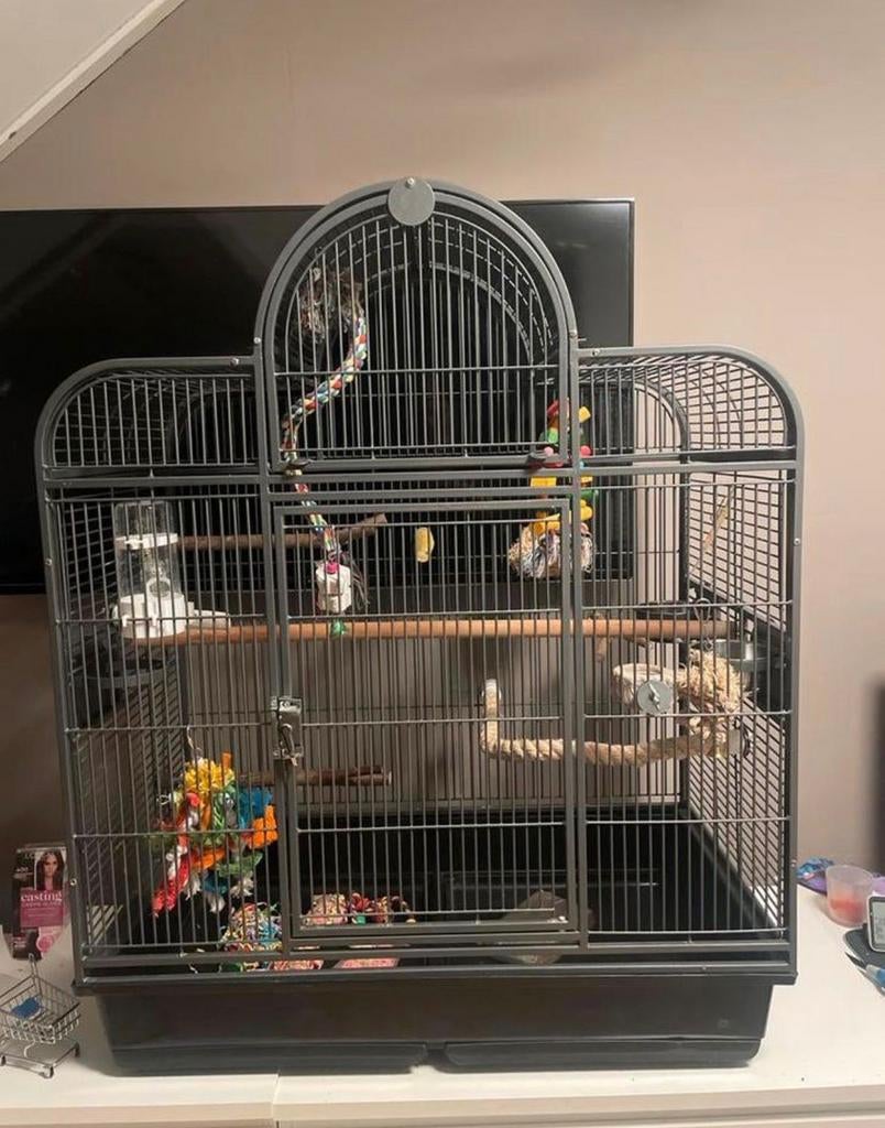 Zeer mooie grote vogelkooi met standaard, Dieren en Toebehoren, Ophalen, Zo goed als nieuw, Metaal, Vogelkooi