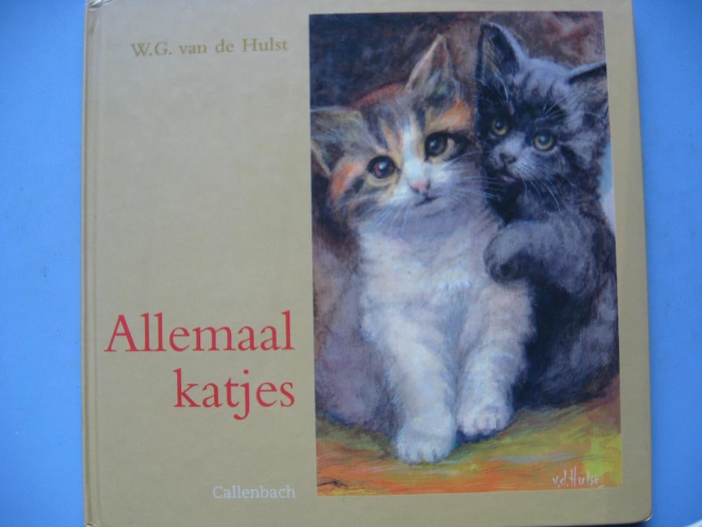 W.G.van de Hulst, Allemaal katjes, Ophalen of Verzenden, Gelezen, Fictie algemeen