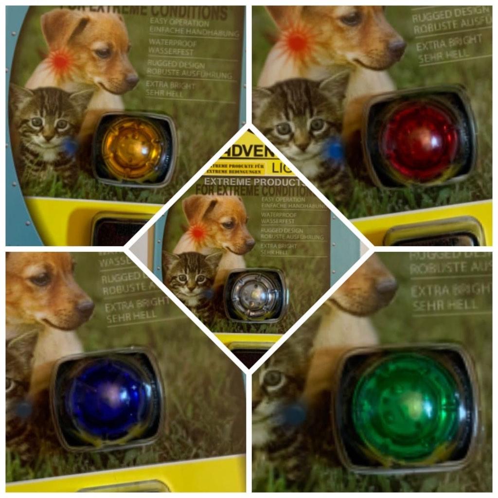 Adventure Light Guardian Kleine Huisdierlampen, Ophalen of Verzenden, Nieuw