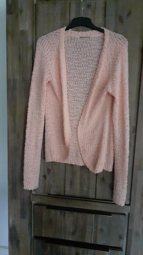 Dames Vest maat XL, Kleding | Dames, Truien en Vesten, Ophalen of Verzenden, Zo goed als nieuw, Maat 46/48 (XL) of groter, Overige kleuren