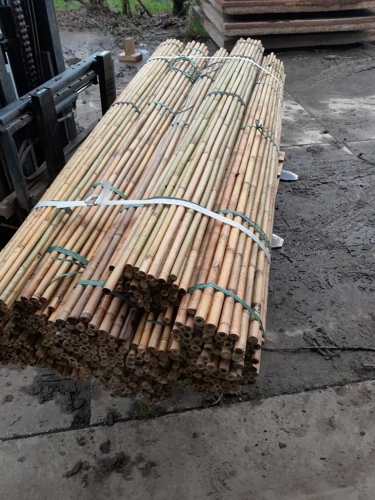 Bamboestokken, Ophalen, Nieuw, Minder dan 180 cm, Palen