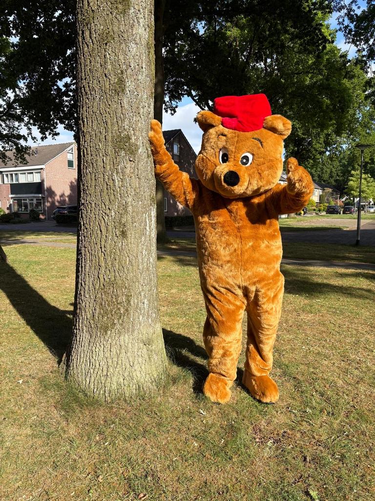 Grote beer knuffelbeer kostuum te huur 60 euro, Ophalen, Gebruikt, Pak of Jurk