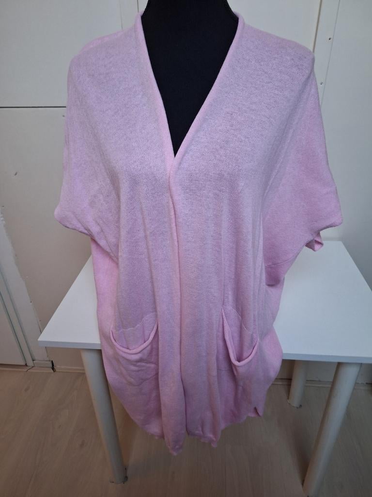 Lang roze vest met zakken maat XL, Kleding | Dames, Truien en Vesten, Zo goed als nieuw, Maat 46/48 (XL) of groter, Roze, Ophalen of Verzenden