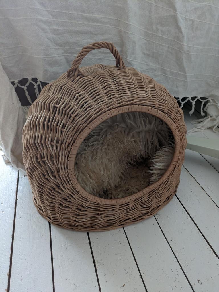 Poezenmand dille en kamille, Ophalen