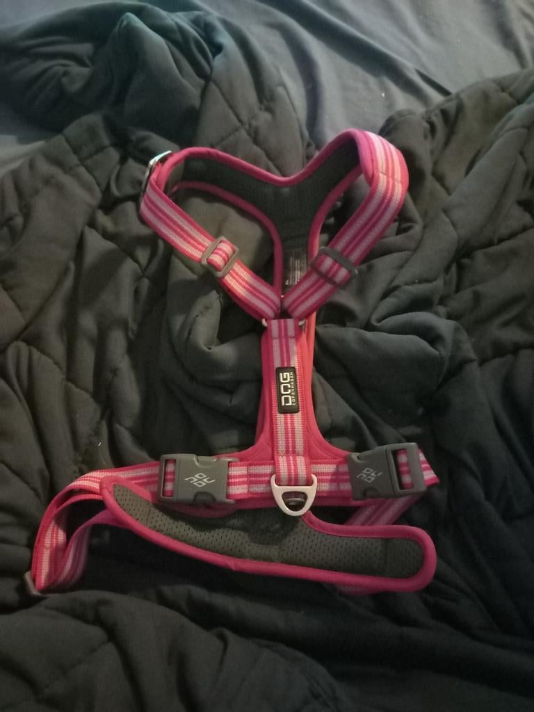 Xl dog Copenhagen roze, Dieren en Toebehoren, Verzenden