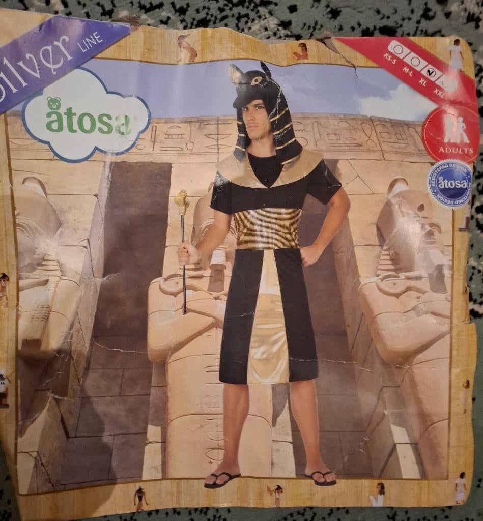 Carnaval/verkleed kleren, Egyptisch pak, maat XL, Carnaval, Maat 56/58 (XL), Ophalen of Verzenden, Zo goed als nieuw