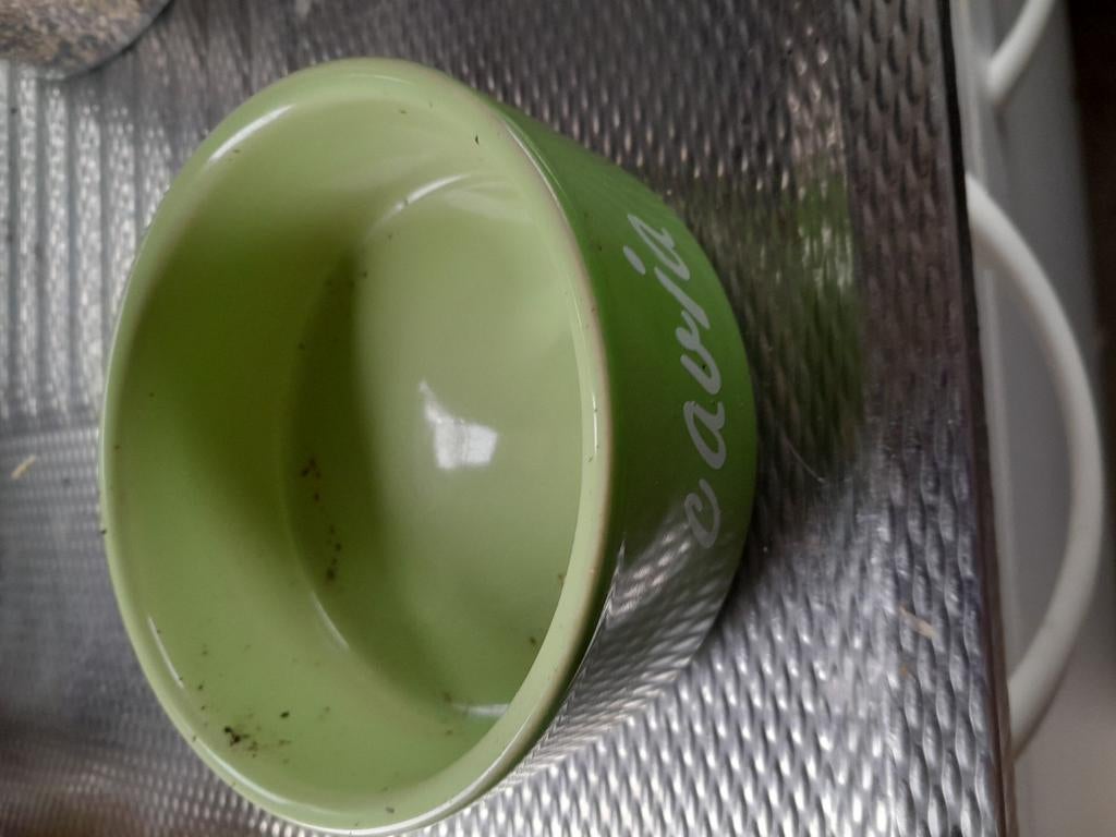 Voerbakjes, Ophalen, Gebruikt, Voerbakje