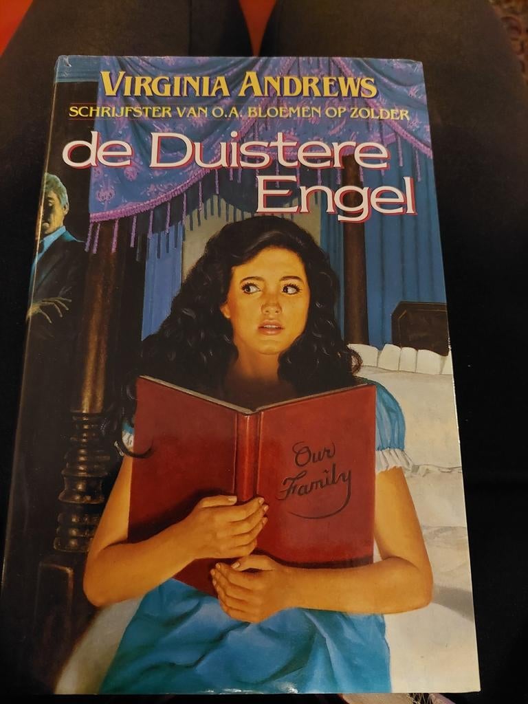 De duistere engel Virginia Andrews, Boeken, Ophalen, Gelezen