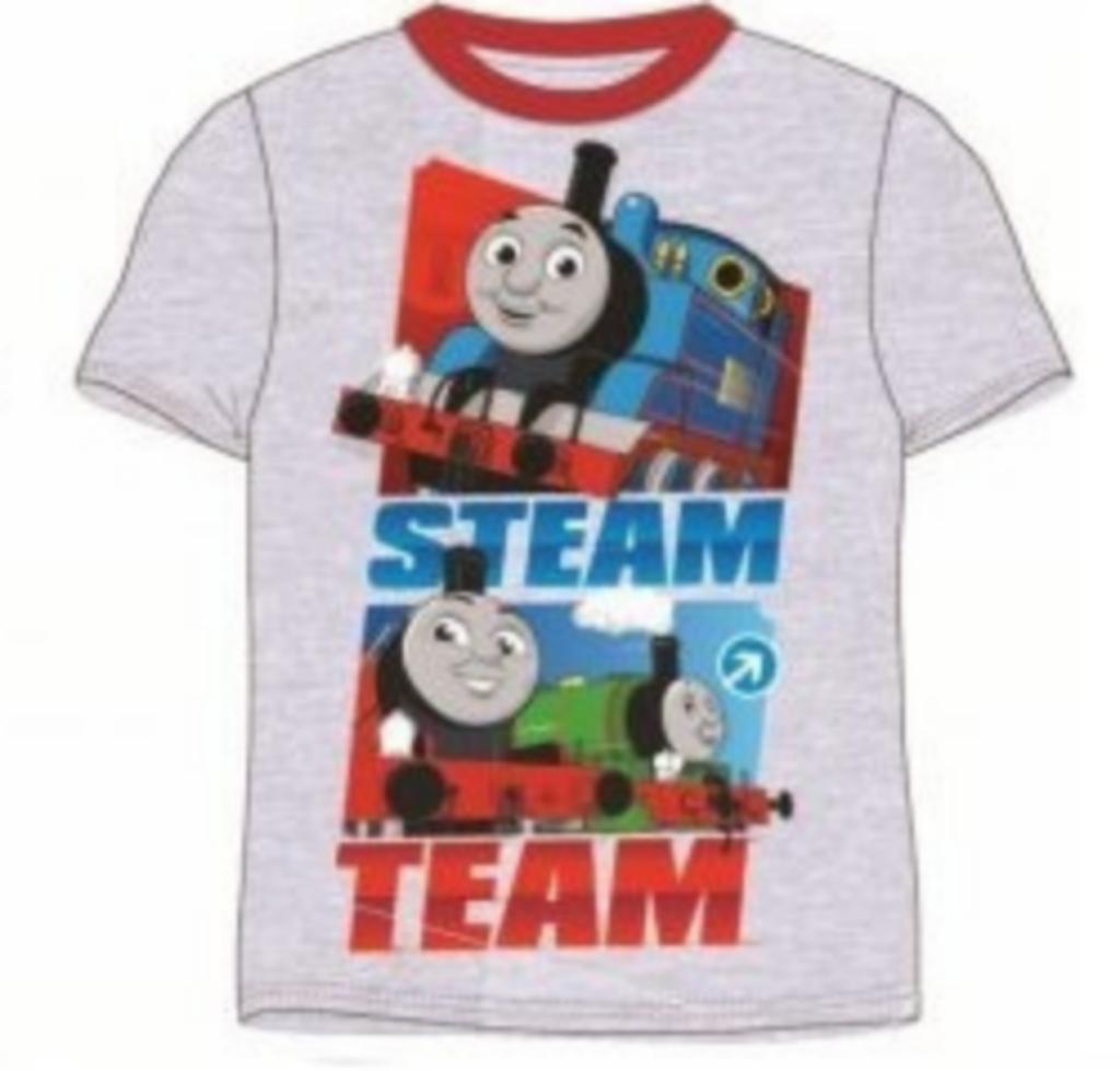 Thomas de Trein T-shirt Grijs - Maat 110 - 122 -128 - Disney, Disney, Nieuw, Ophalen of Verzenden, Shirt of Longsleeve