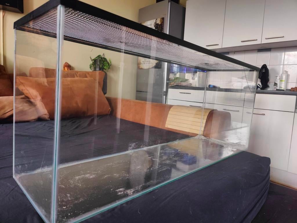 Terrarium, Ophalen of Verzenden