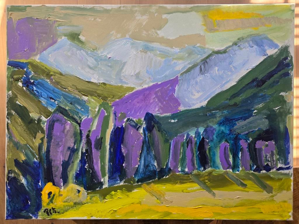 Groot schilderij P.C. Kuiper - Berglandschap (gesigneerd), Antiek en Kunst, Ophalen of Verzenden