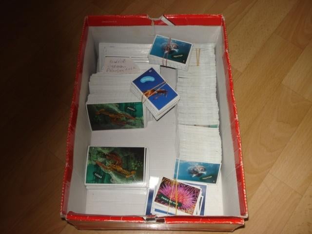 OCEAAN PLAATJES/ STICKERS ( GRATIS ) AH, Albert Heijn, Ophalen of Verzenden