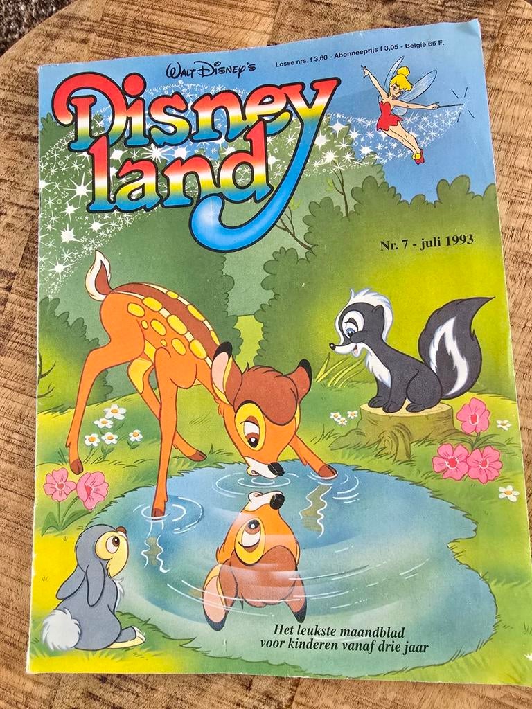 Disney land, Ophalen of Verzenden, Overige figuren, Overige typen