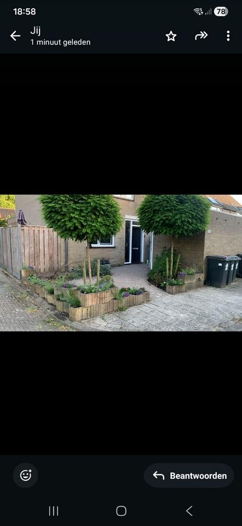 2x bolacacia boom, Ophalen of Verzenden, Hout, Minder dan 3 meter