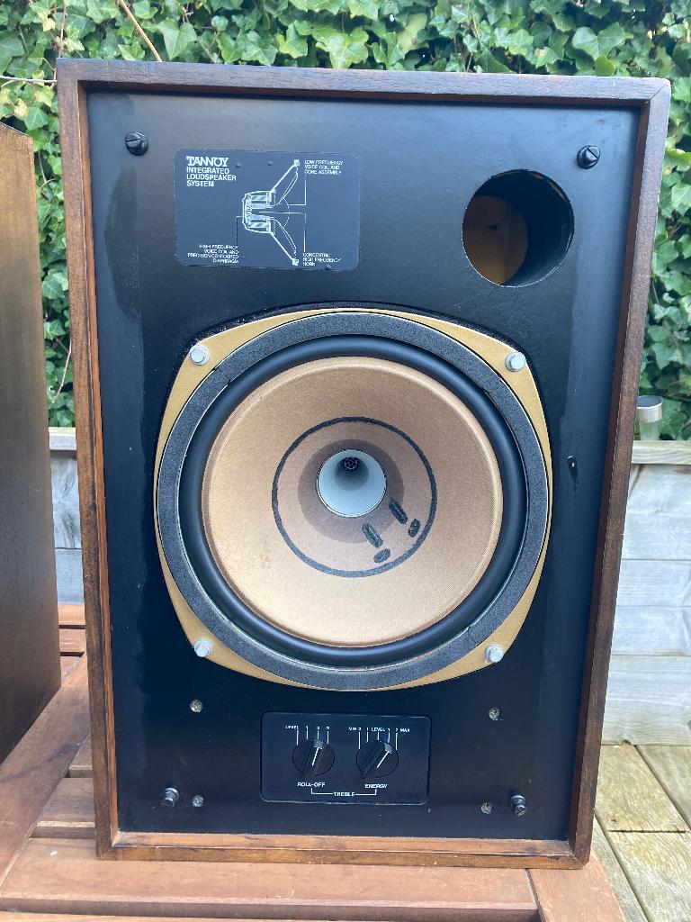 Tannoy Vintage Eaton (1975–1978), Gebruikt, Minder dan 60 watt, Front, Rear of Stereo speakers, Ophalen
