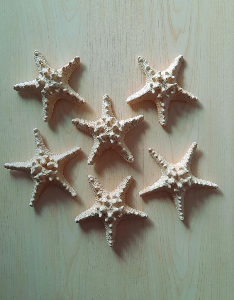 6 GIPSEN ZEESTERREN WANDDECORATIE Ø13 CM H: 5,0 CM, Ophalen of Verzenden, Zo goed als nieuw