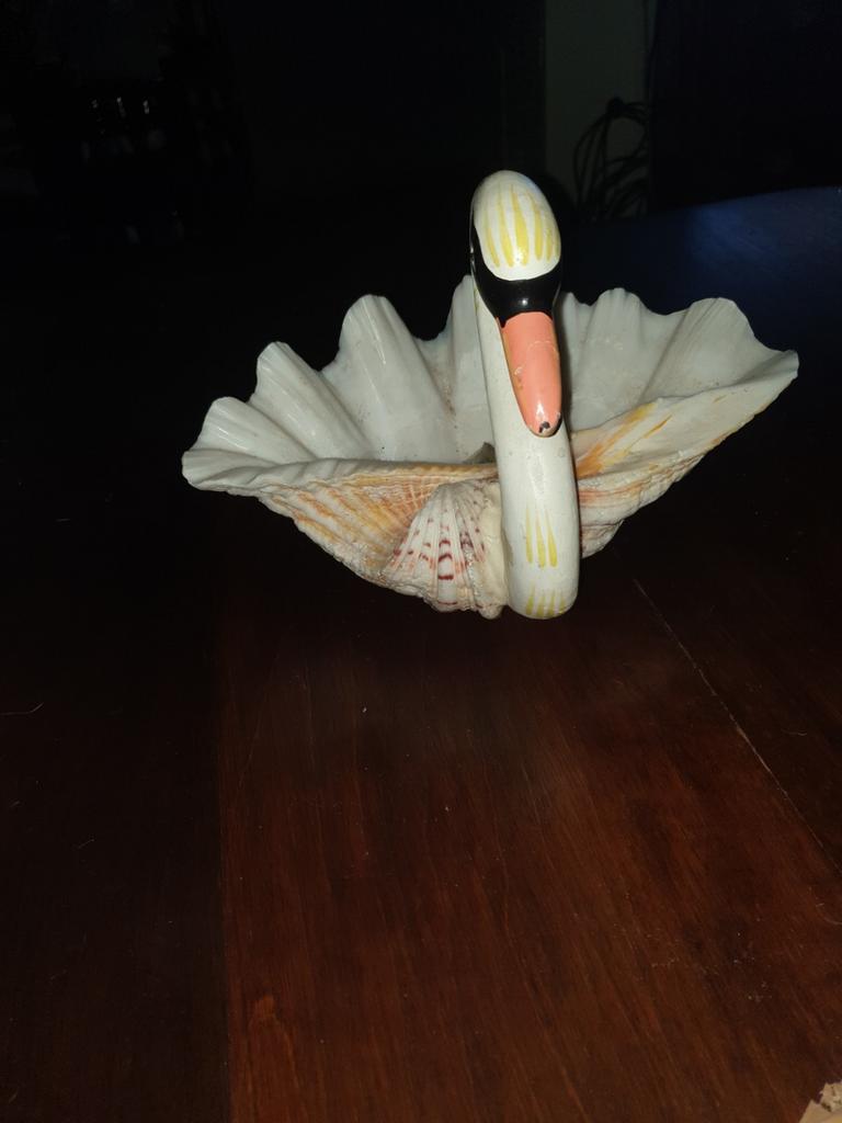 Zwaan gemaakt van doopvontschelp, Verzamelen, Ophalen, Dier