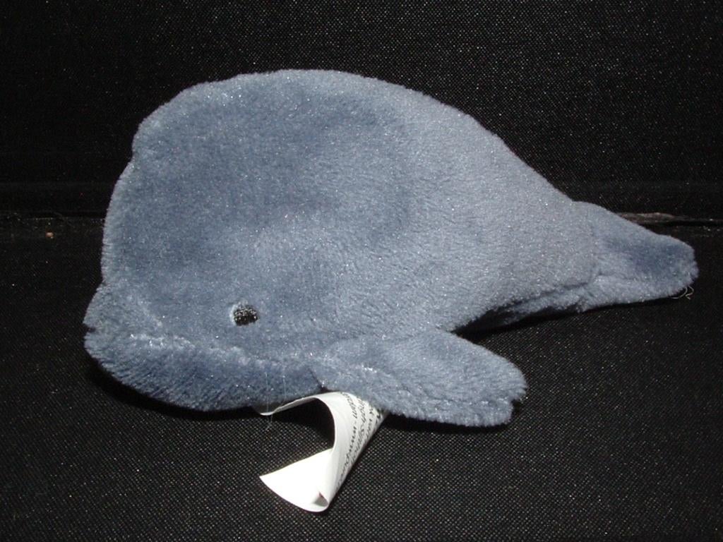 WALVIS UIT DE KLEINE WALVIS PRENTENBOEK VAN HET JAAR, Ophalen of Verzenden, Nieuw, Overige typen