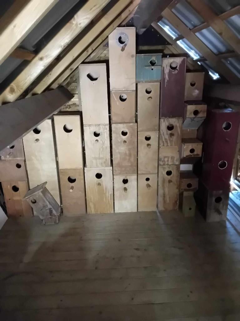 te koop diverse broedblokken, Ophalen, Gebruikt, Hout, Broedkooi of Kweekkooi