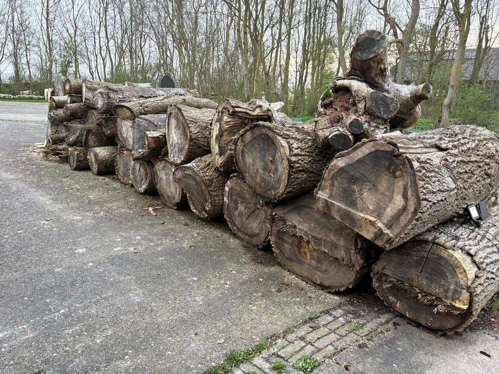 Hout stammen, 6 m³ of meer, Ophalen, Stammen