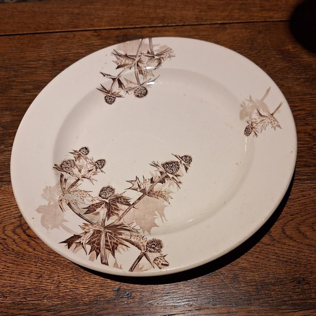 Groot bord van P.Regout: Distel., Ophalen of Verzenden