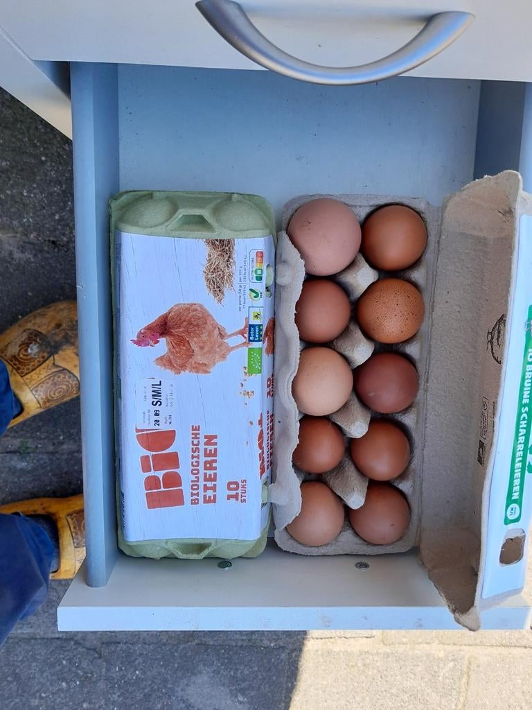 Verse eieren, Ophalen of Verzenden