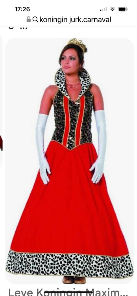 Grote collectie carnavalskleding: Koningin, Piraat, Holbewon, Kleding | Dames, Carnaval, Maat 46/48 (XL) of groter, Ophalen of Verzenden