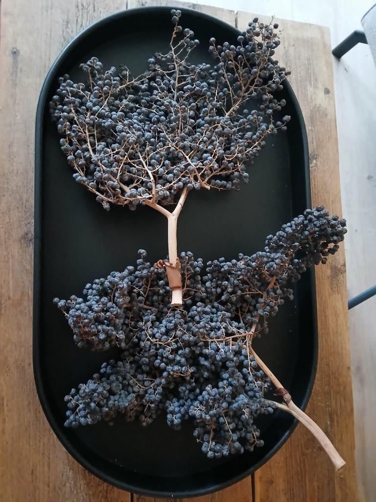 2 mooie gedroogde dadeltakken, Ophalen, Zo goed als nieuw