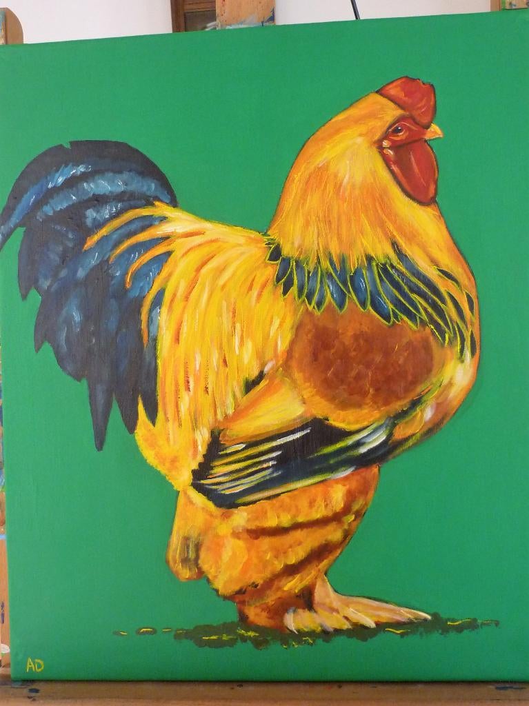 Haan, Ophalen of Verzenden