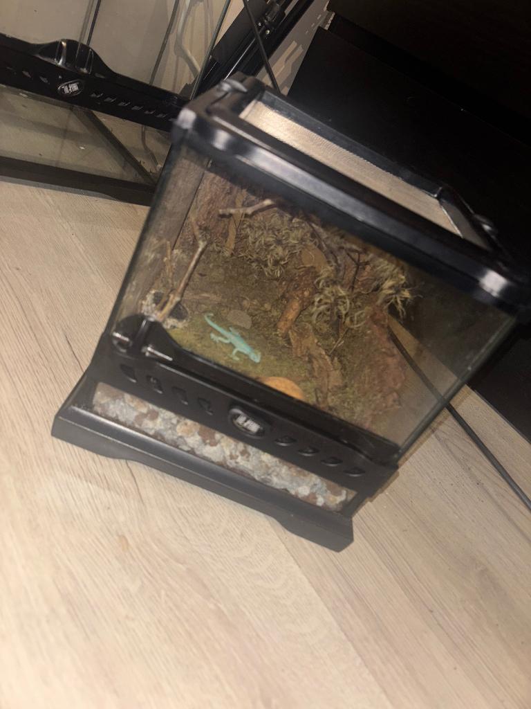 Exo terra, Ophalen of Verzenden, Zo goed als nieuw, Terrarium of Paludarium