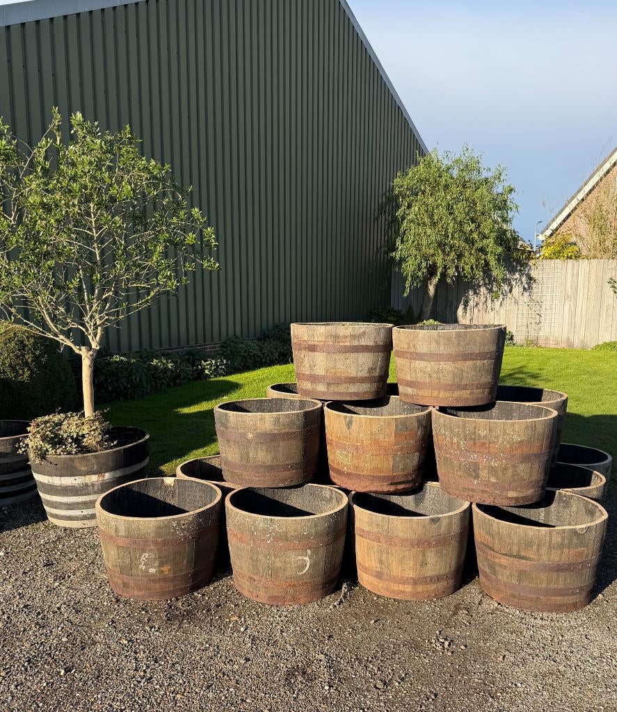 Plantenbak, Half wijnvat, Half vat, Eiken regenton Vijver, Ophalen, Rond, 60 tot 100 cm, 30 tot 60 cm