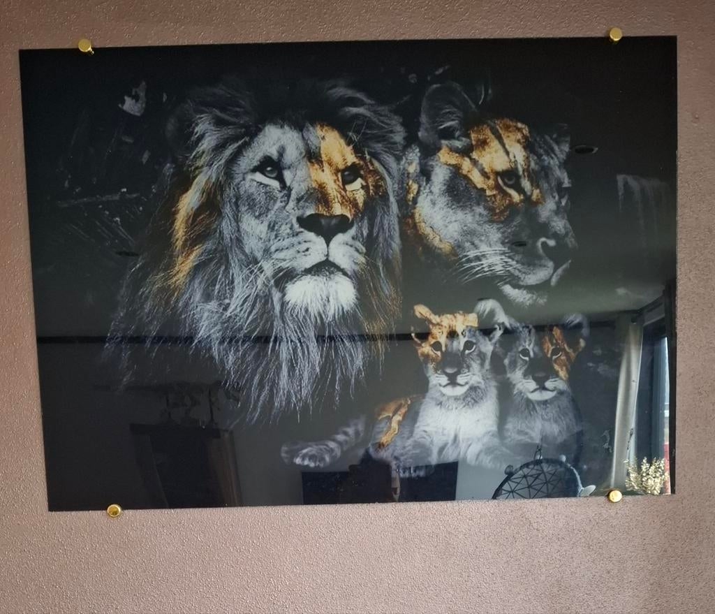 Schilderij op plexiglas 100x70, Ophalen