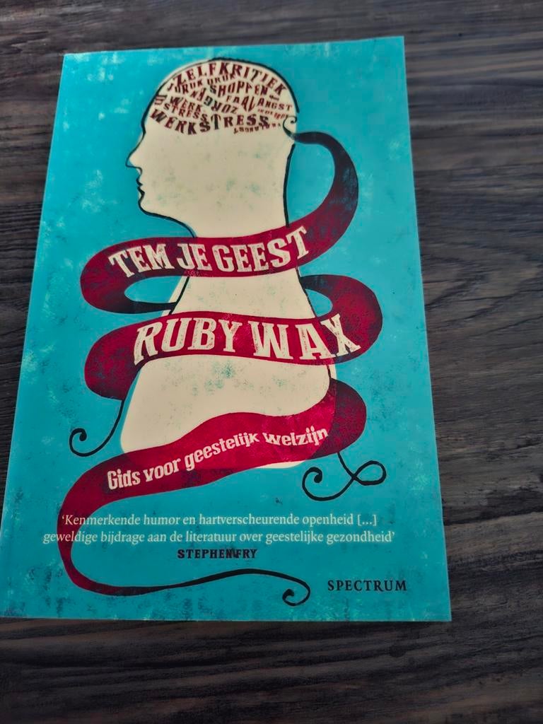 Tem Je Geest - Ruby Wax, Boeken, Ophalen of Verzenden, Zo goed als nieuw, Gezondheid en Conditie, Ruby Wax