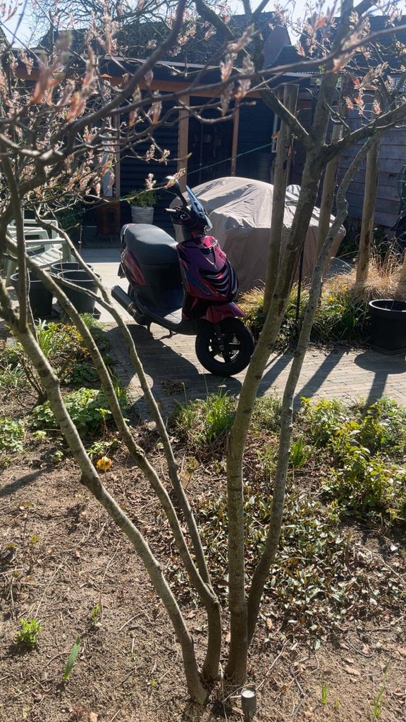 Piaggio zip 4 takt 50cc, Ophalen, Maximaal 45 km/u, Zip, Zo goed als nieuw