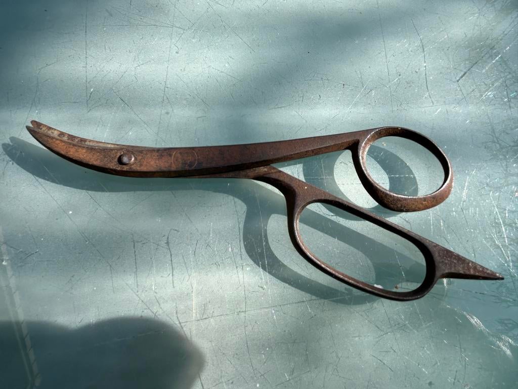 Oude schaar, Ophalen of Verzenden