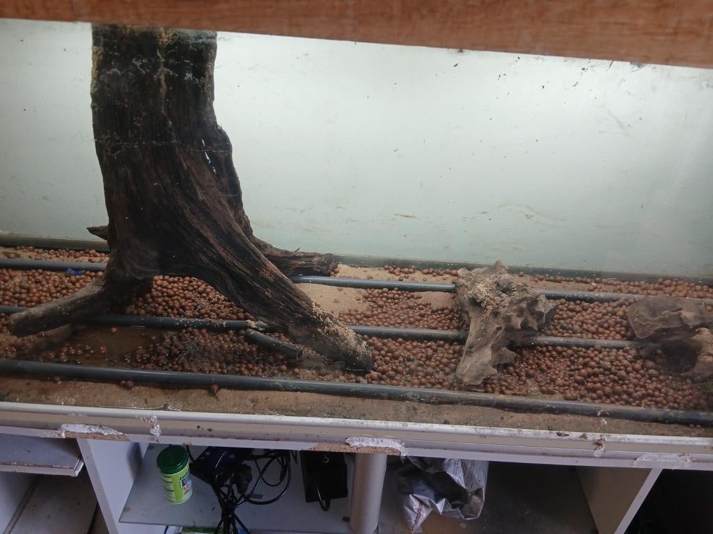 Groot aquarium, Dieren en Toebehoren, Ophalen of Verzenden, Gebruikt, Leeg aquarium