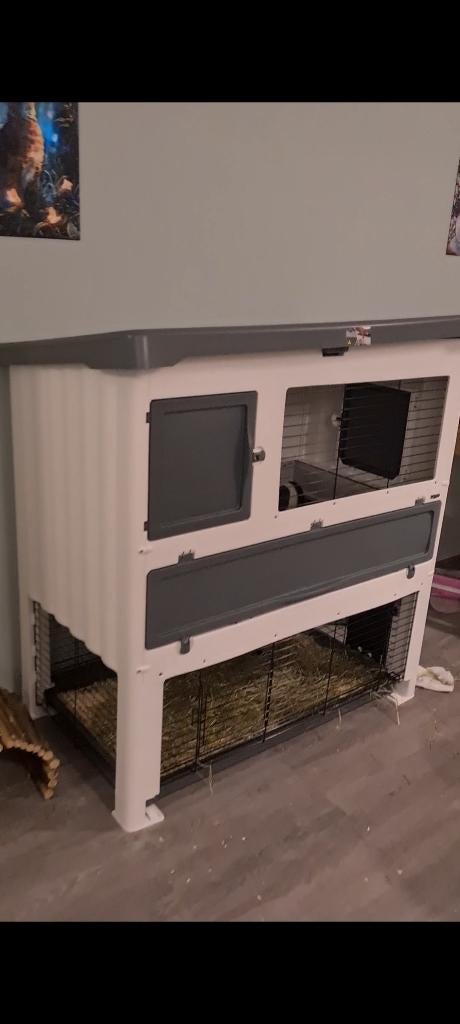 Konijnenhok, Dieren en Toebehoren, Knaagdieren en Konijnen | Hokken en Kooien, Ophalen, Gebruikt, 90 cm of meer, Konijn