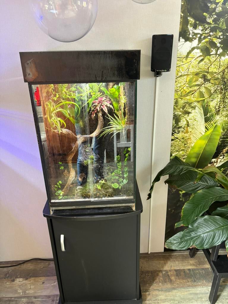 Terrarium rana met kastje compleet, Ophalen, Gebruikt, Terrarium of Paludarium