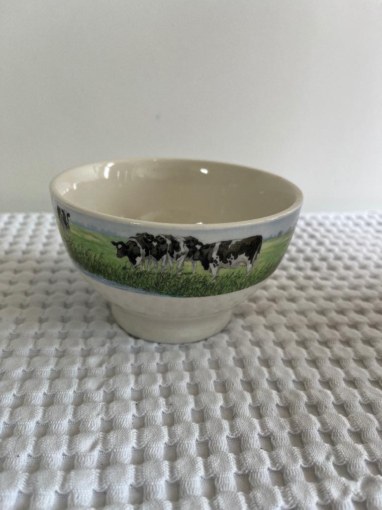 Kom Wiebe Van der Zee - Nieuwe Buren (5), Ophalen of Verzenden, Zo goed als nieuw, Kom(men), Overige stijlen